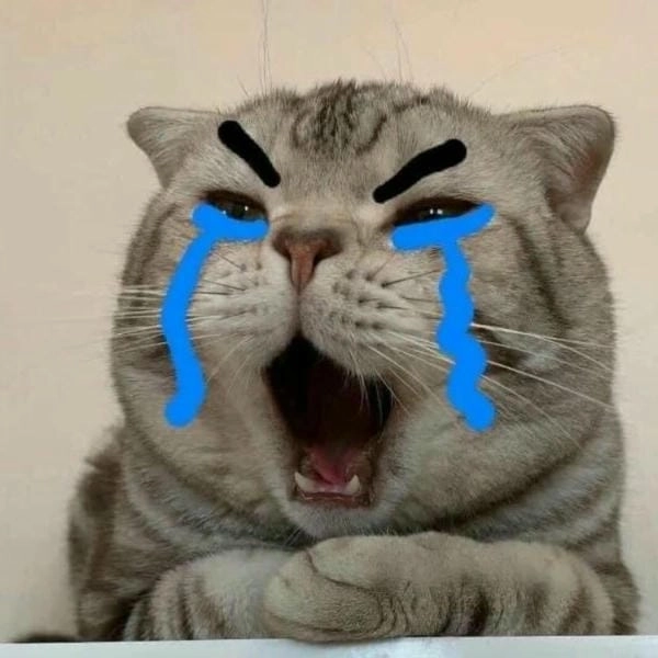 ảnh chế meme cười ra nước mắt