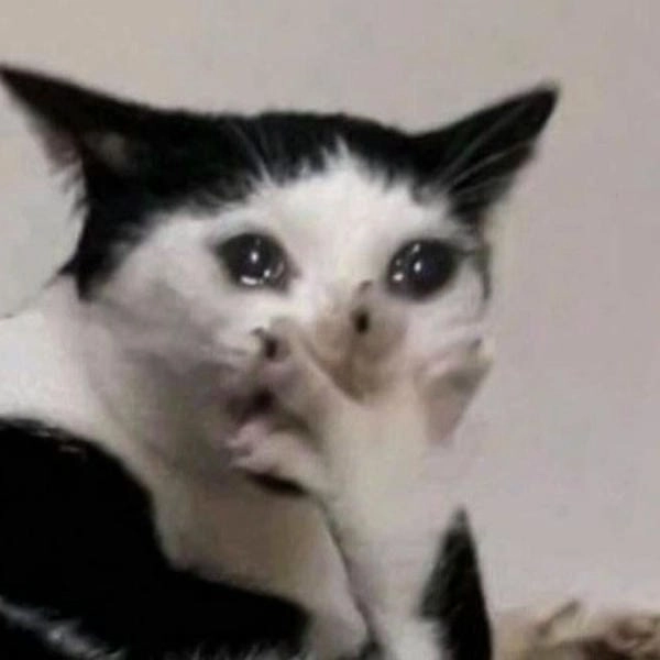 tải meme rớt nước mắt mèo bựa