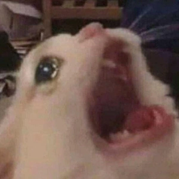 tải meme rớt nước mắt miễn phí