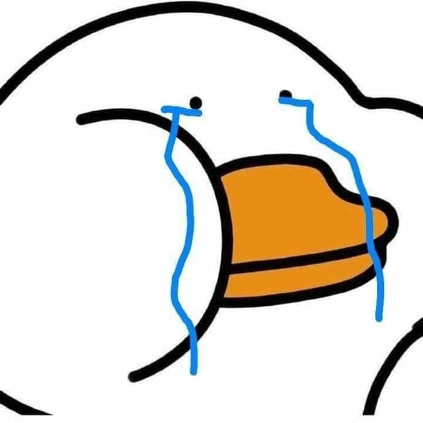 meme cười ra nước mắt vịt mỏ vàng