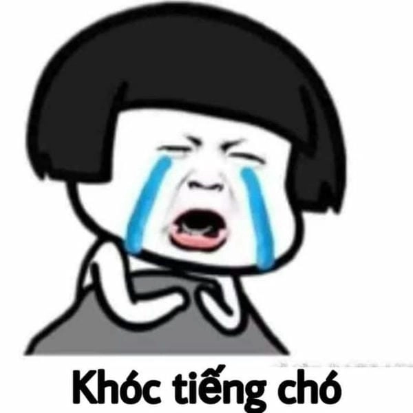 tải meme khóc tiếng chó