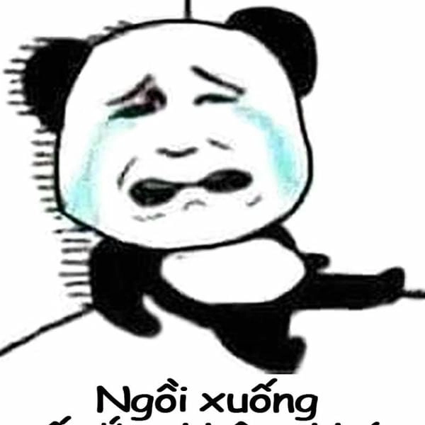 tải ảnh cười ra nước mắt meme gấu trúc