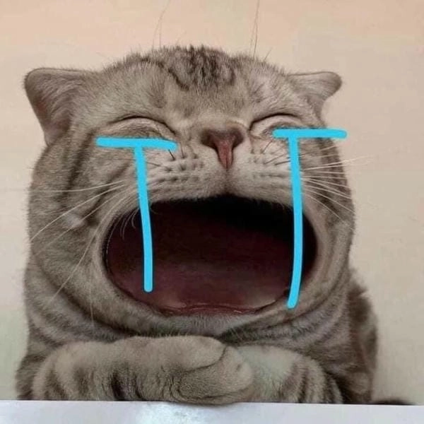 cười trong nước mắt meme