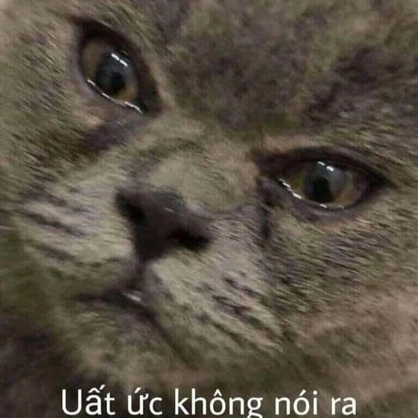 ảnh meme cười chảy nước mắt uất ức