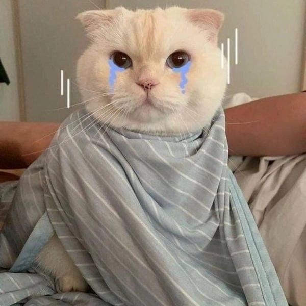 ảnh meme cười chảy nước mắt mồn lèo