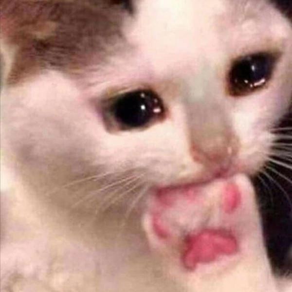 meme cười chảy nước mắt