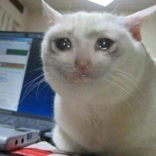 cười ra nước mắt meme