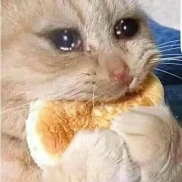 meme cười chảy nước mũi