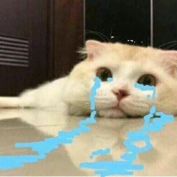 tải ảnh meme nước mắt chảy ròng