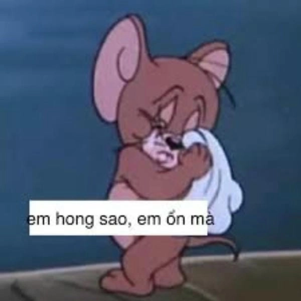 tải ảnh meme cười ra nước mắt em hong sao