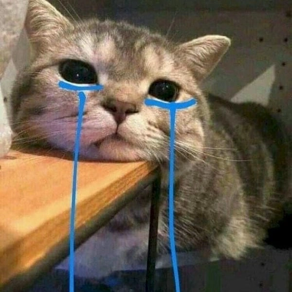 tải ảnh meme cười ra nước mắt mèo khóc ròng