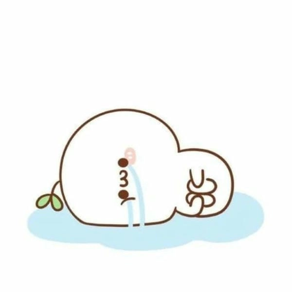 ảnh meme cười ra nước mắt cute nhất