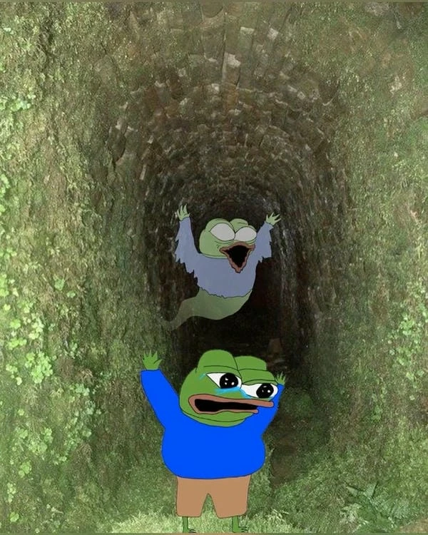 meme con ếch xanh