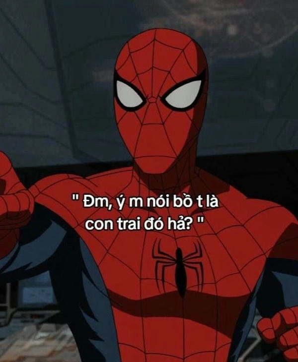 người nhện meme