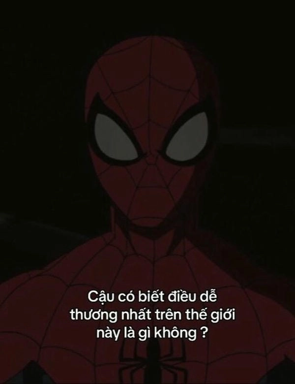 meme người nhện đen tối
