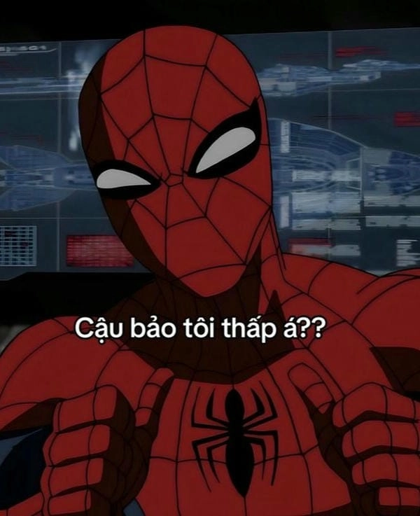 tải free meme người nhện