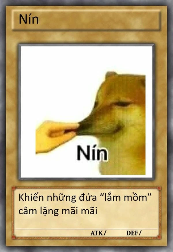 nín meme con chó