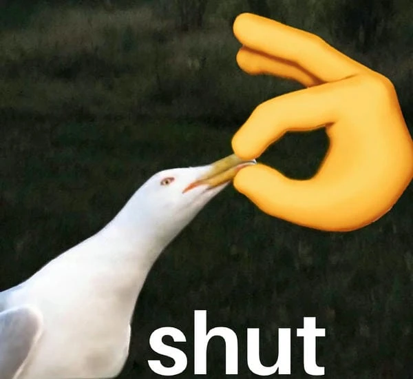 Meme nín cute