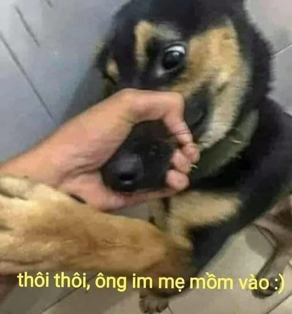 Meme nín hài hước