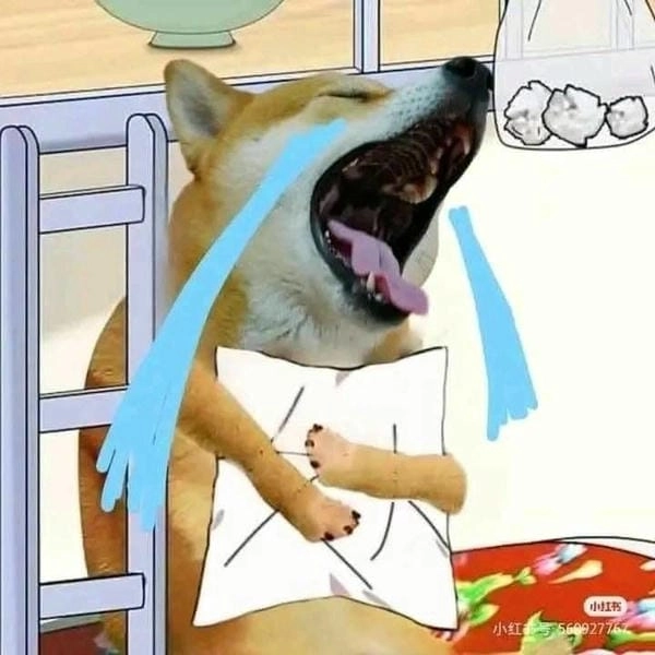 ảnh meme ôm gối khóc