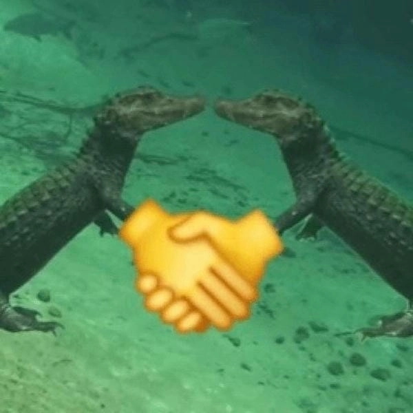 ảnh meme ôm hài bựa