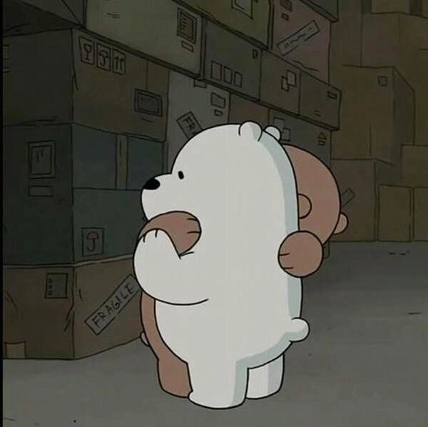 ảnh ôm meme gấu trắng gấu nâu
