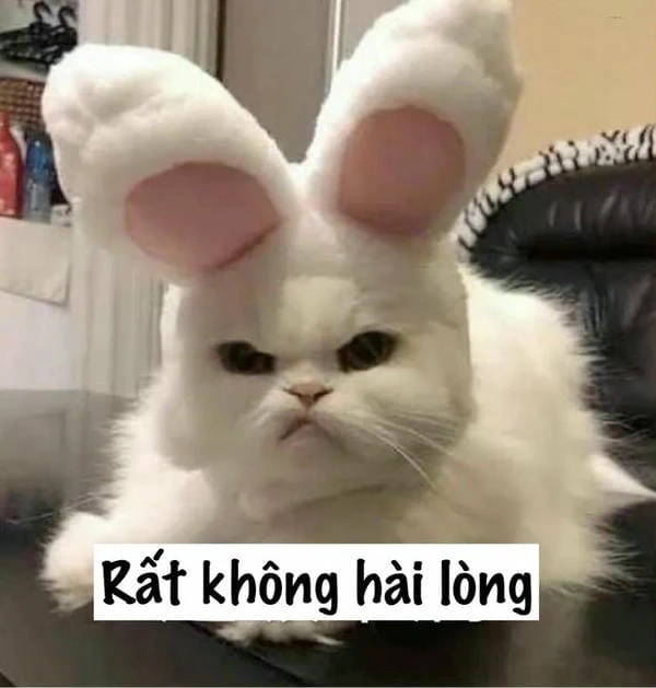 Meme giận dỗi cực dễ thương