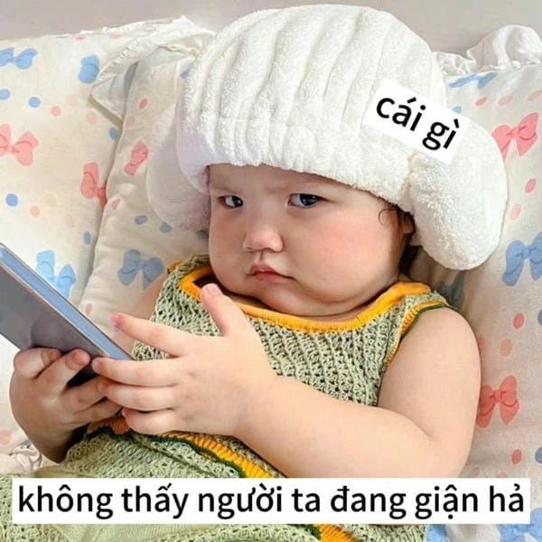 Meme giận dữ nhưng đáng yêu
