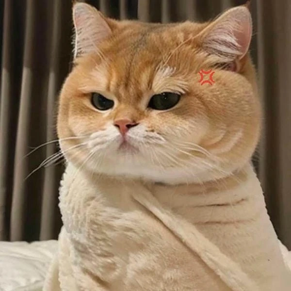 Meme tức giận hài