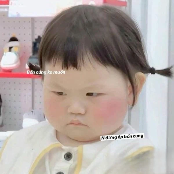 Ảnh meme giận đáng yêu