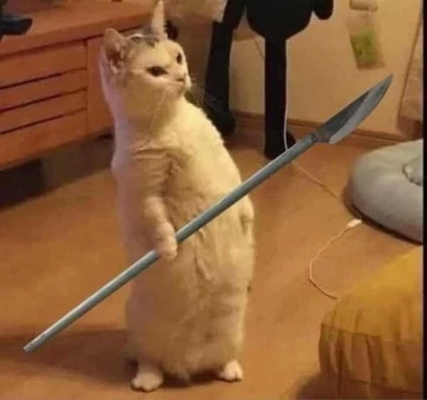 Hình meme tức giận cute