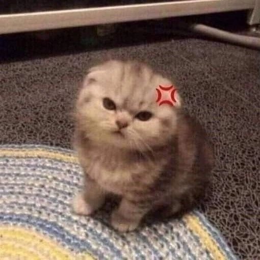 meme tức giận cute