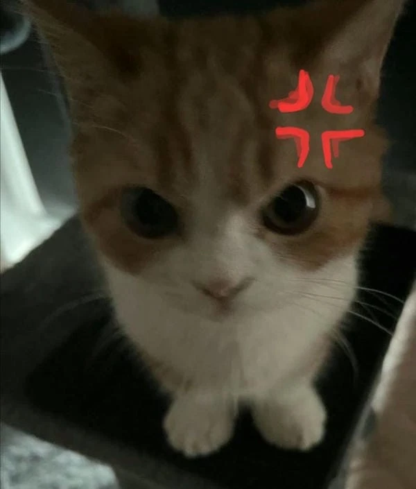 tức giận meme