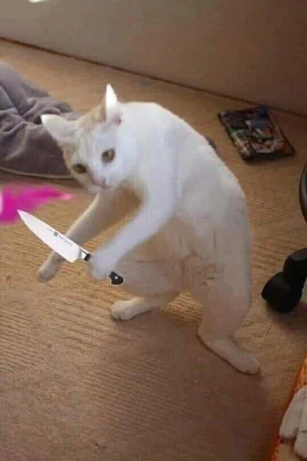 meme giận dữ