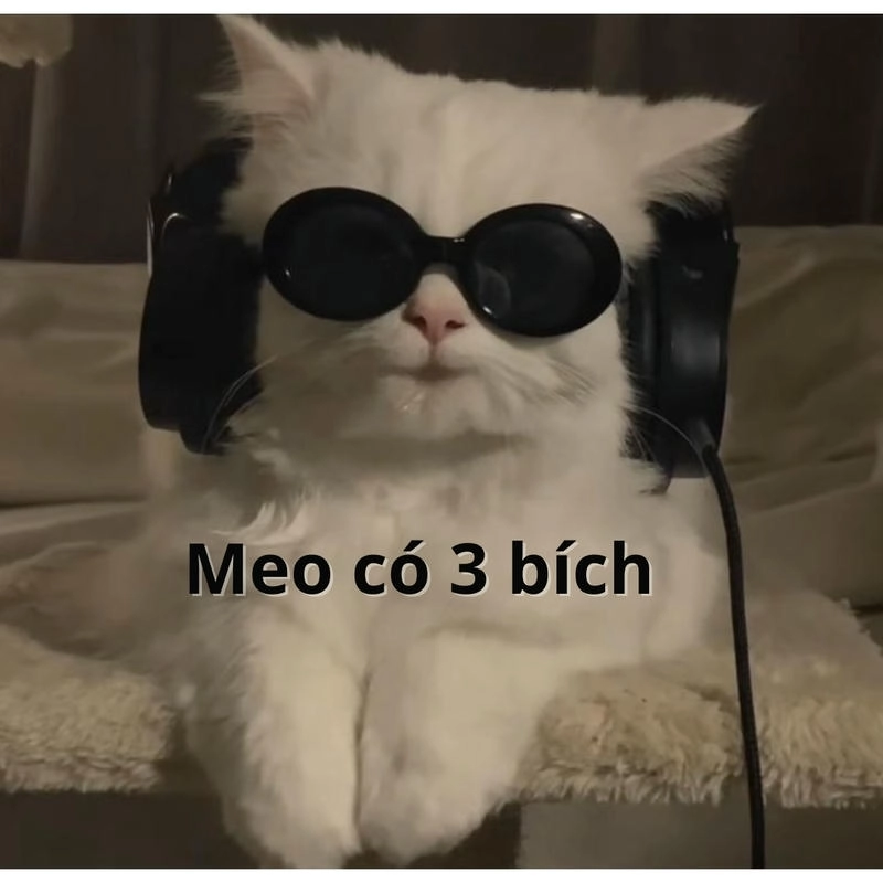 Bích meme hot nhất