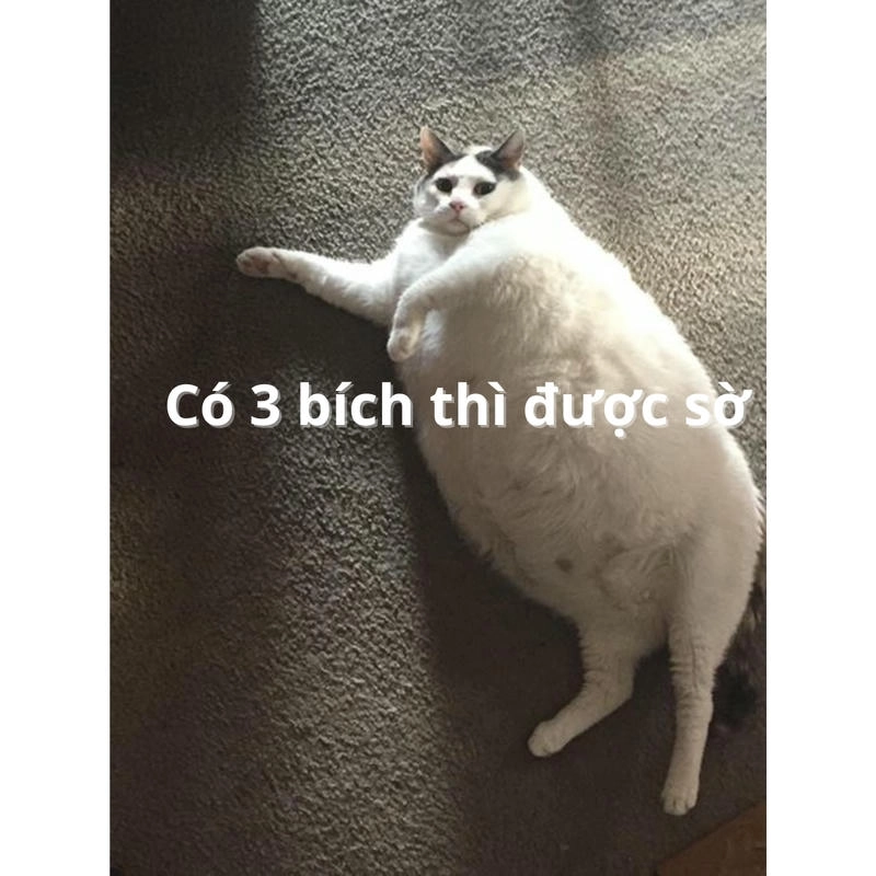 3 bích meme nổi bật