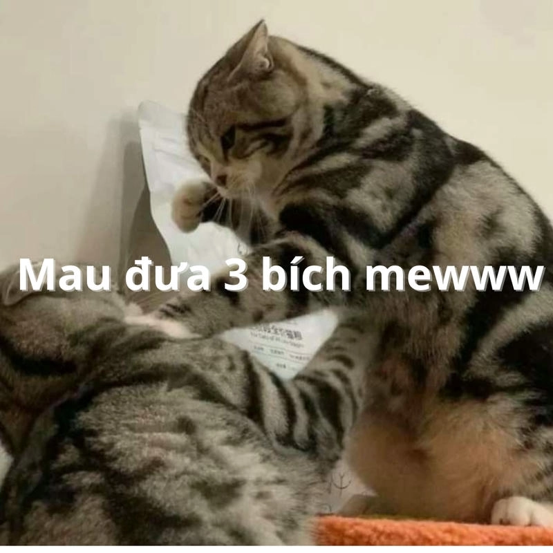 Meme 3 bích