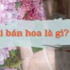 Gái bán hoa là gì? Khái niệm gây tranh cãi và tò mò nhất MXH