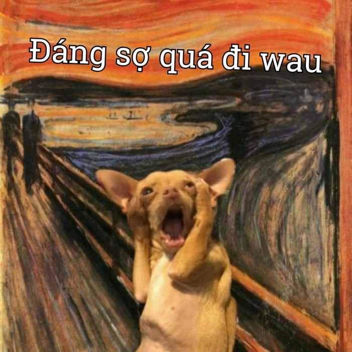 Chihuahua meme gây bão mạng xã hội