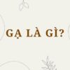 Gạ là gì? Từ “gạ” nghĩa là gì trong các ngữ cảnh khác nhau