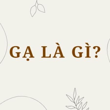 Gạ là gì? Từ “gạ” nghĩa là gì trong các ngữ cảnh khác nhau