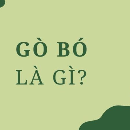 Gò bó là gì? Hiểu đúng nghĩa và cách dùng từ “gò bó” chuẩn