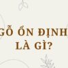 Gỗ ổn định là gì?Đặc điểm, công dụng trong nội thất hiện đại