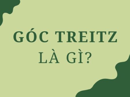 Góc Treitz là gì? Cấu tạo và chức năng trong cơ thể người