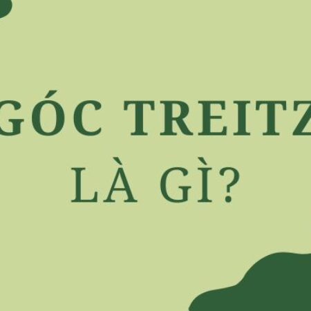 Góc Treitz là gì? Cấu tạo và chức năng trong cơ thể người