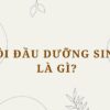 Gội đầu dưỡng sinh là gì? Lợi ích và cách thực hiện đúng