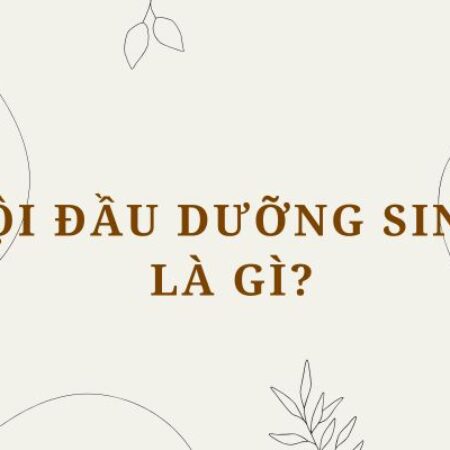 Gội đầu dưỡng sinh là gì? Lợi ích và cách thực hiện đúng