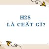 H2S là chất gì? Tính chất, tác hại và ứng dụng của H2S