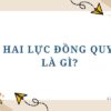 Hai lực đồng quy là gì? Công thức xác định lực đồng quy