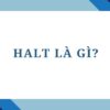 Halt là gì? Ý nghĩa và cách dùng từ Halt trong tiếng Anh